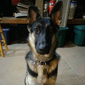 Meet your Posher, Lindsay